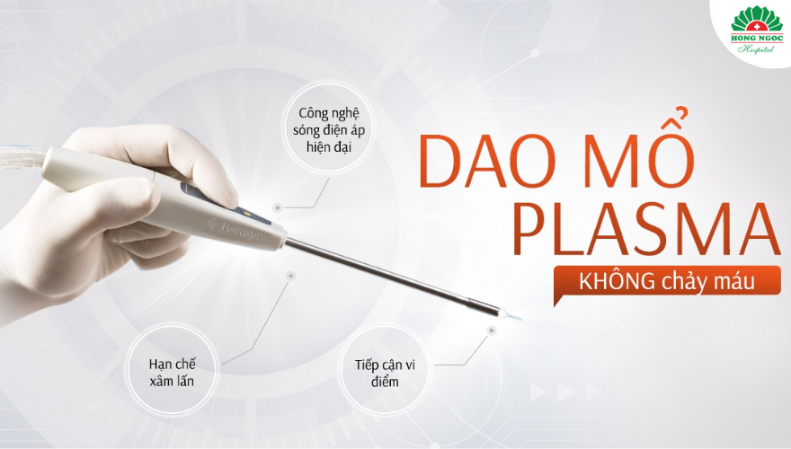 PT Hongmieng Daoplasma