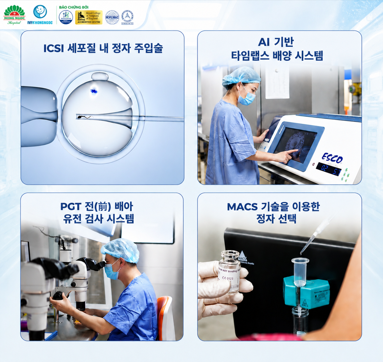 하노이 IVF