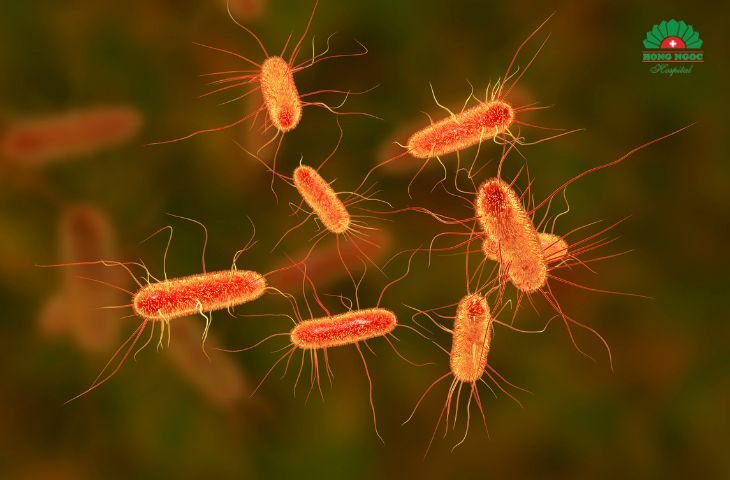 Trichomonas is a causative agent of vaginitis.