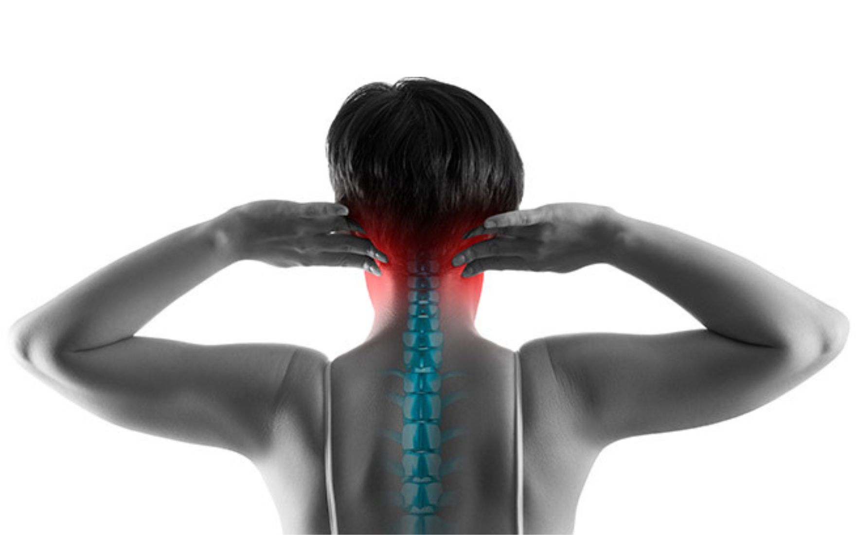 ĐQCT 880 550  (1) 1