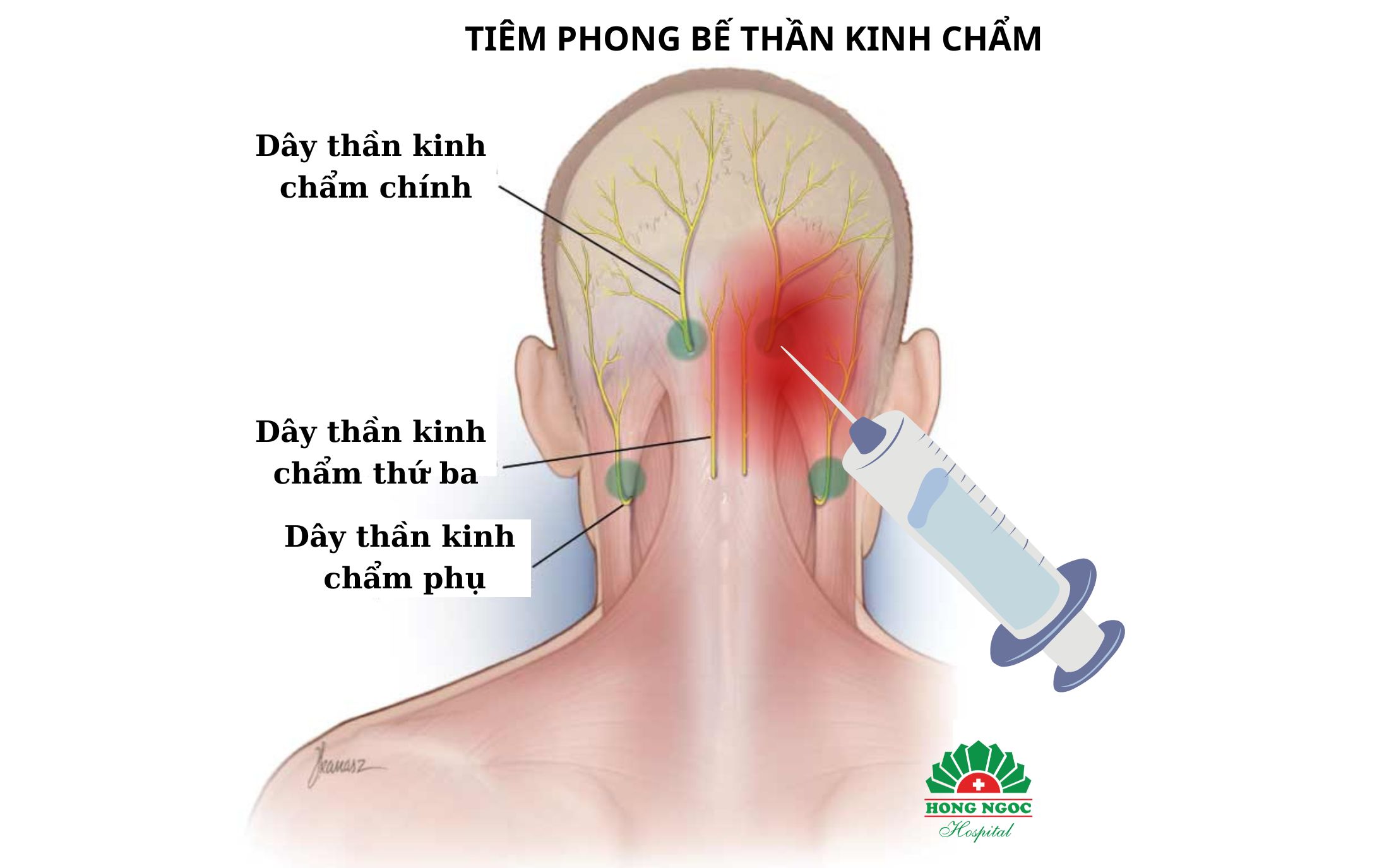 ĐQCT 880 550 1