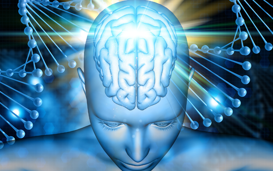 Kích Thước Web 880 550 (2)