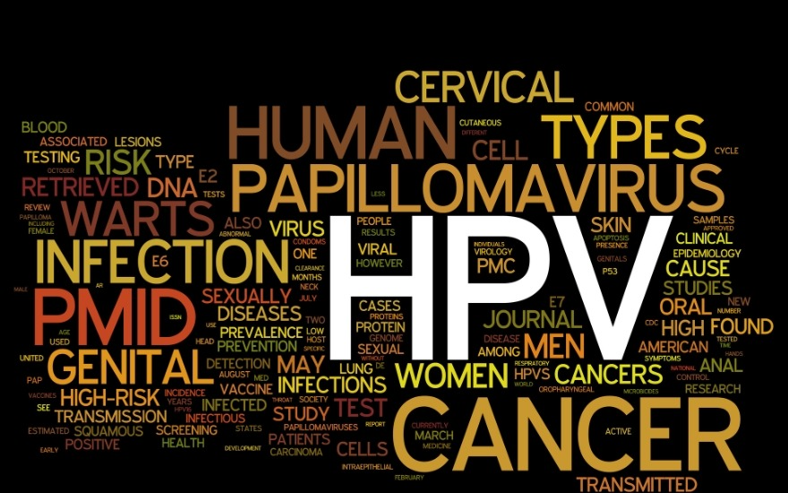 HPV là virus gây u nhú ở người với hơn 200 chủng khác nhau