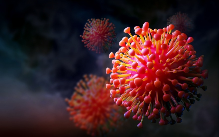 HPV là virus phổ biến với hơn 200 chủng khác nhau