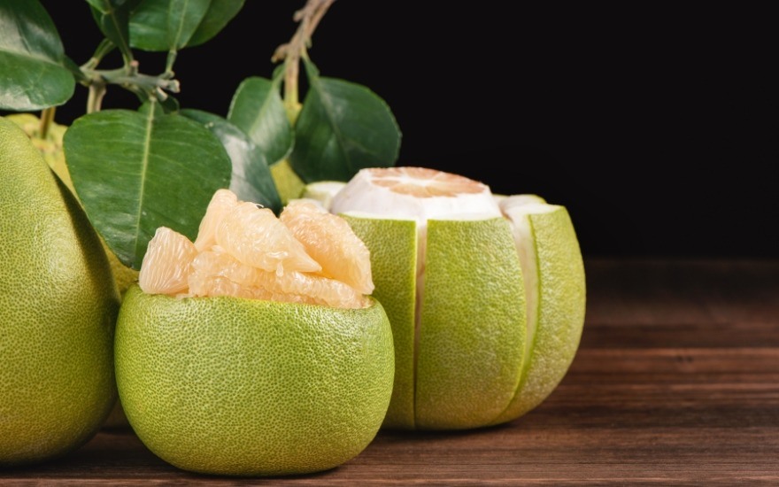 Cần thận trọng khi sử dụng bưởi khi đang dùng thuốc