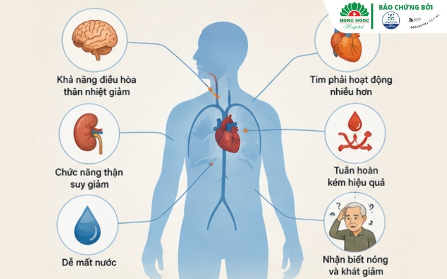 Người cao tuổi phòng bệnh mùa nóng: Dấu hiệu nguy hiểm cần biết