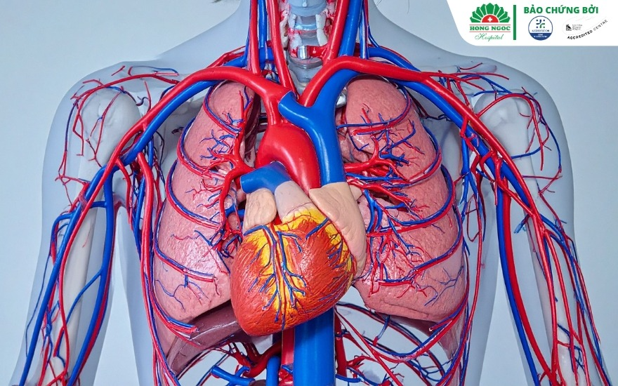Người cao tuổi phòng bệnh mùa nóng: Dấu hiệu nguy hiểm cần biết