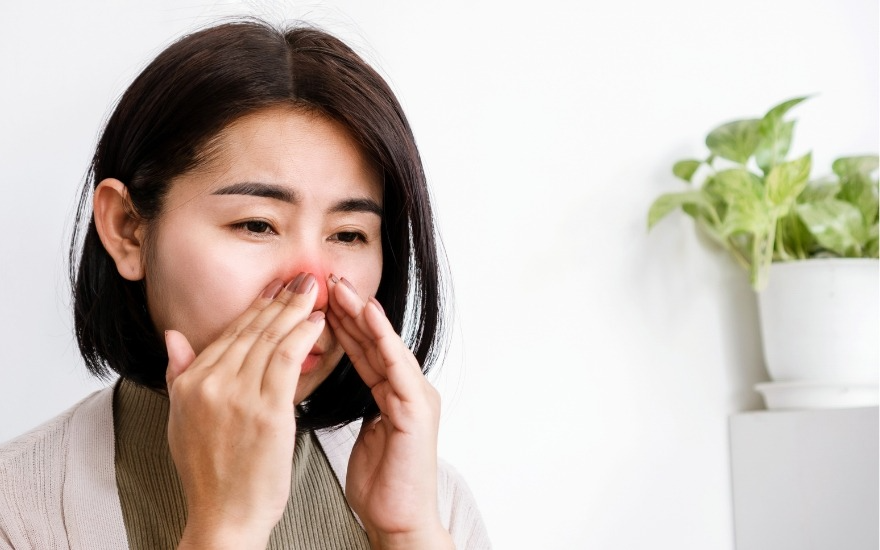 Viêm mũi dị ứng kéo dài tăng nguy cơ viêm xoang