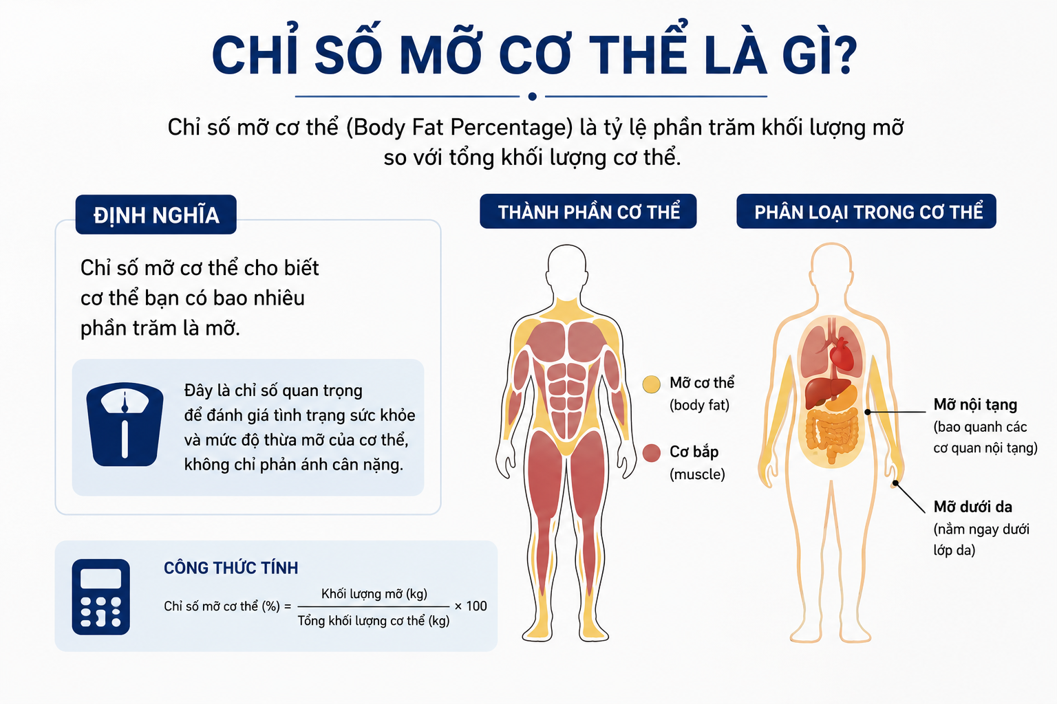 Chỉ số mỡ cơ thể là gì