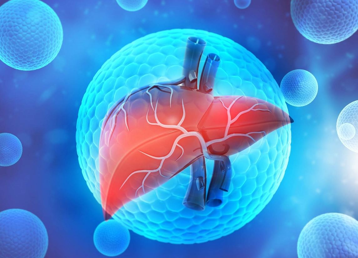 Suy Gan Cap Tinh Va Suy Gan Man Tinh