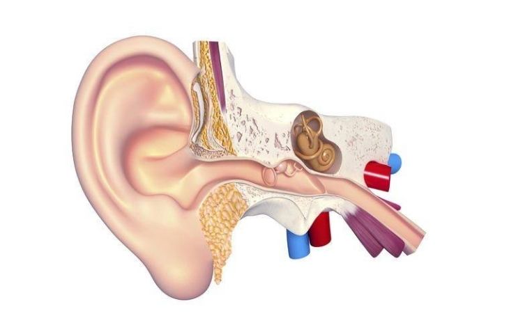 Tai Phải Bị Đau Nhức: Nguyên Nhân, Triệu Chứng và Cách Điều Trị Hiệu Quả