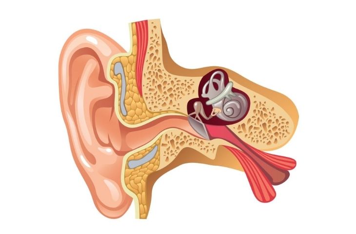 Tai Phải - Giải Mã Hiện Tượng Và Ý Nghĩa Tâm Linh