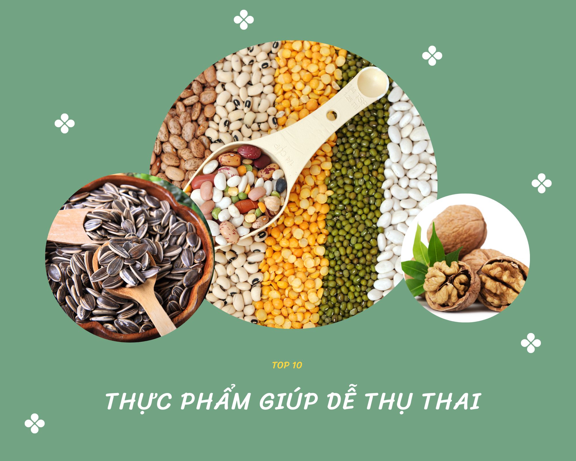 Ăn gì để dễ thụ thai? Bí quyết dinh dưỡng tăng cơ hội làm cha mẹ