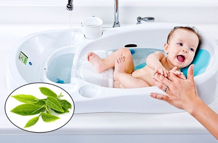 Dùng lá vối tắm cho trẻ có tốt không? Dùng lá vối tắm cho trẻ có tốt không?