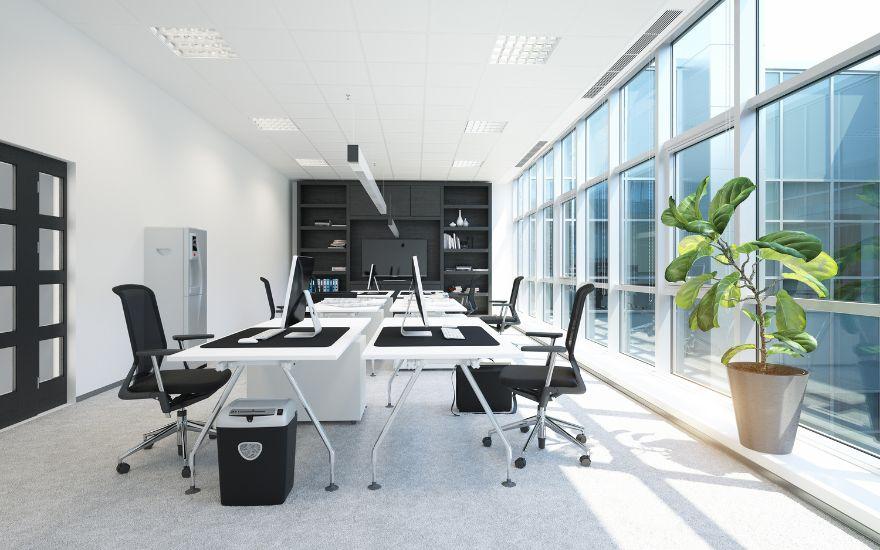 cách cải thiện thị lực