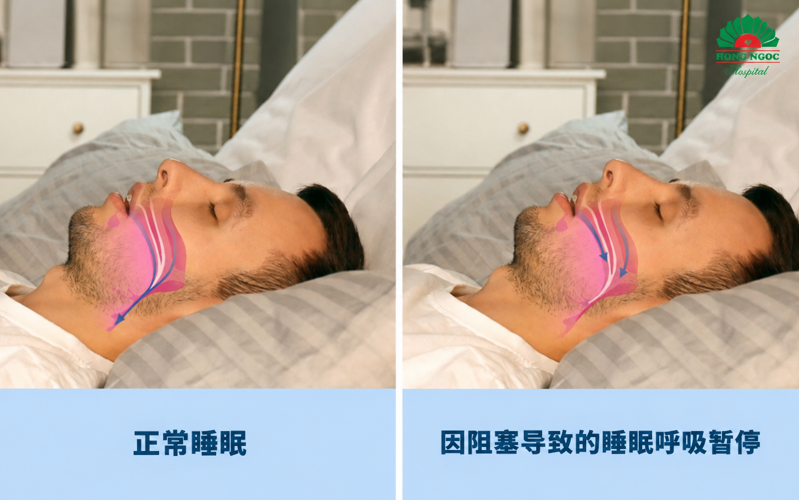 7dd69400 Ae1a 4c62 84d2 C925f2cdf215