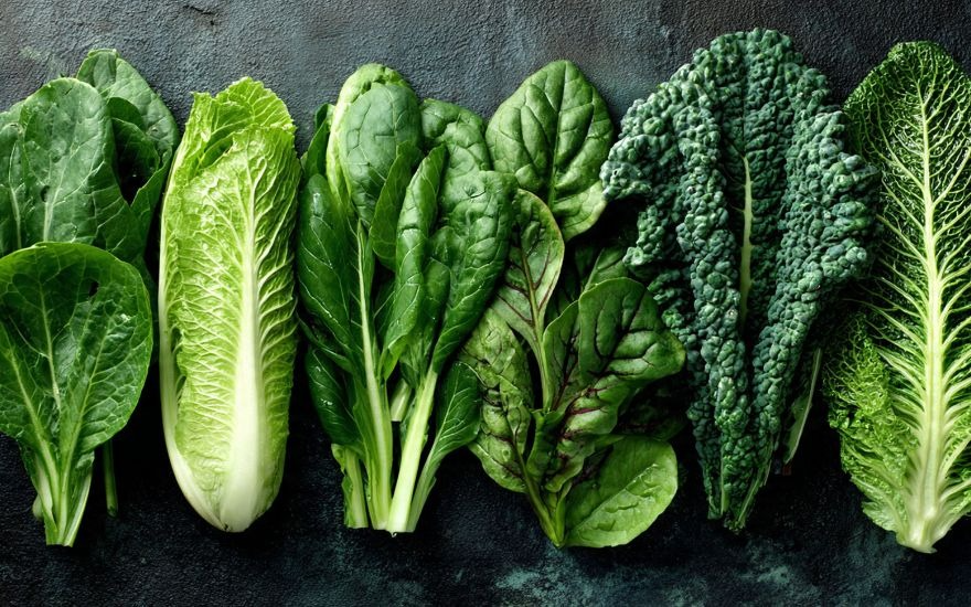 Các loại rau lá xanh đậm là nguồn cung cấp Lutein và Zeaxanthin dồi dào, đóng vai trò như tấm khiên bảo vệ vùng điểm vàng