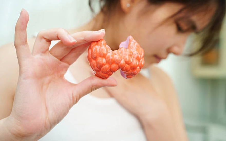 Dấu hiệu nhận biết nhân tuyến giáp