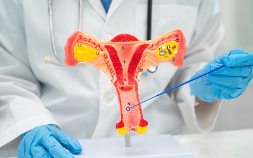Xét nghiệm HPV có thể được sử dụng trong theo dõi sau điều trị bệnh lý cổ tử cung