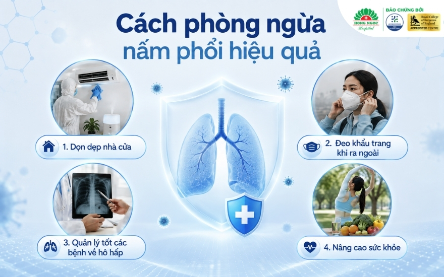 Chủ động vệ sinh không gian sinh sống, nâng cao sức khỏe để phòng ngừa nấm phổi hiệu quả