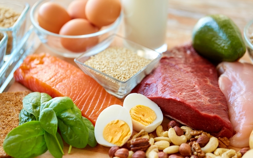 protein.jpg Đạm có nhiều trong thịt, cá, trứng, sữa
