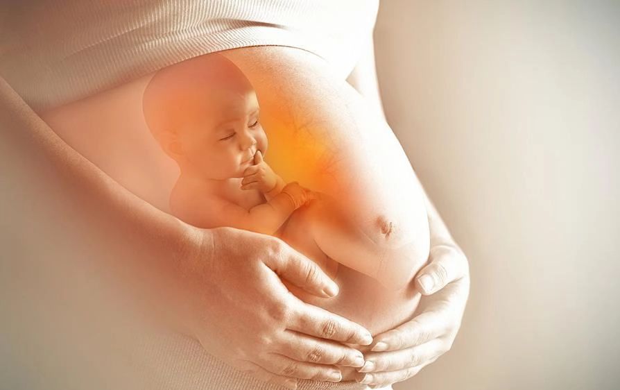 Mẹ bầu béo phì có thể tác động đến lập trình chuyển hóa của thai nhi