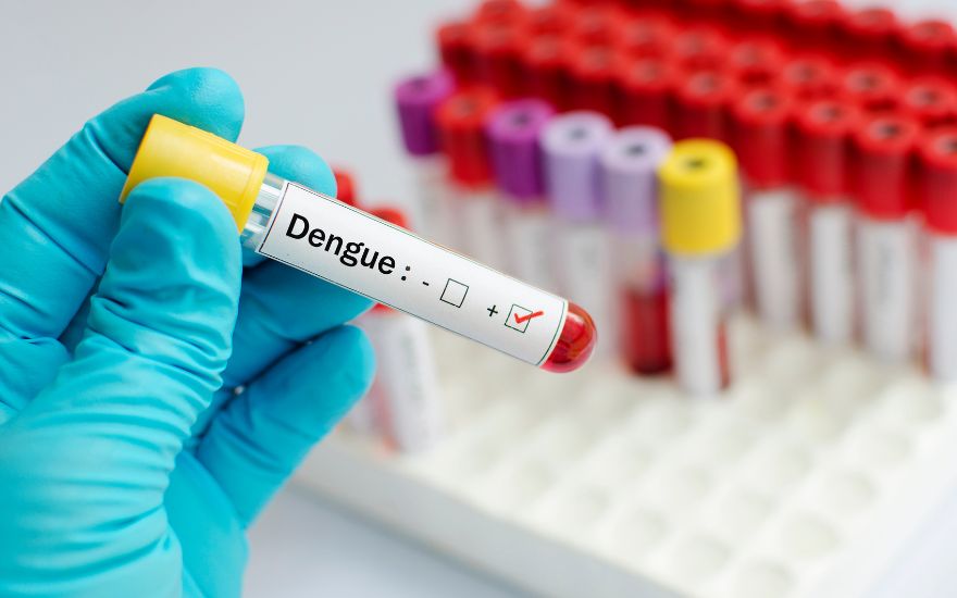 virus-dengue-co-the-anh-huong-qua-trinh-tao-va-tieu-thu-tieu-cau.jpg virus-dengue-co-the-anh-huong-qua-trinh-tao-va-tieu-thu-tieu-cau.jpg