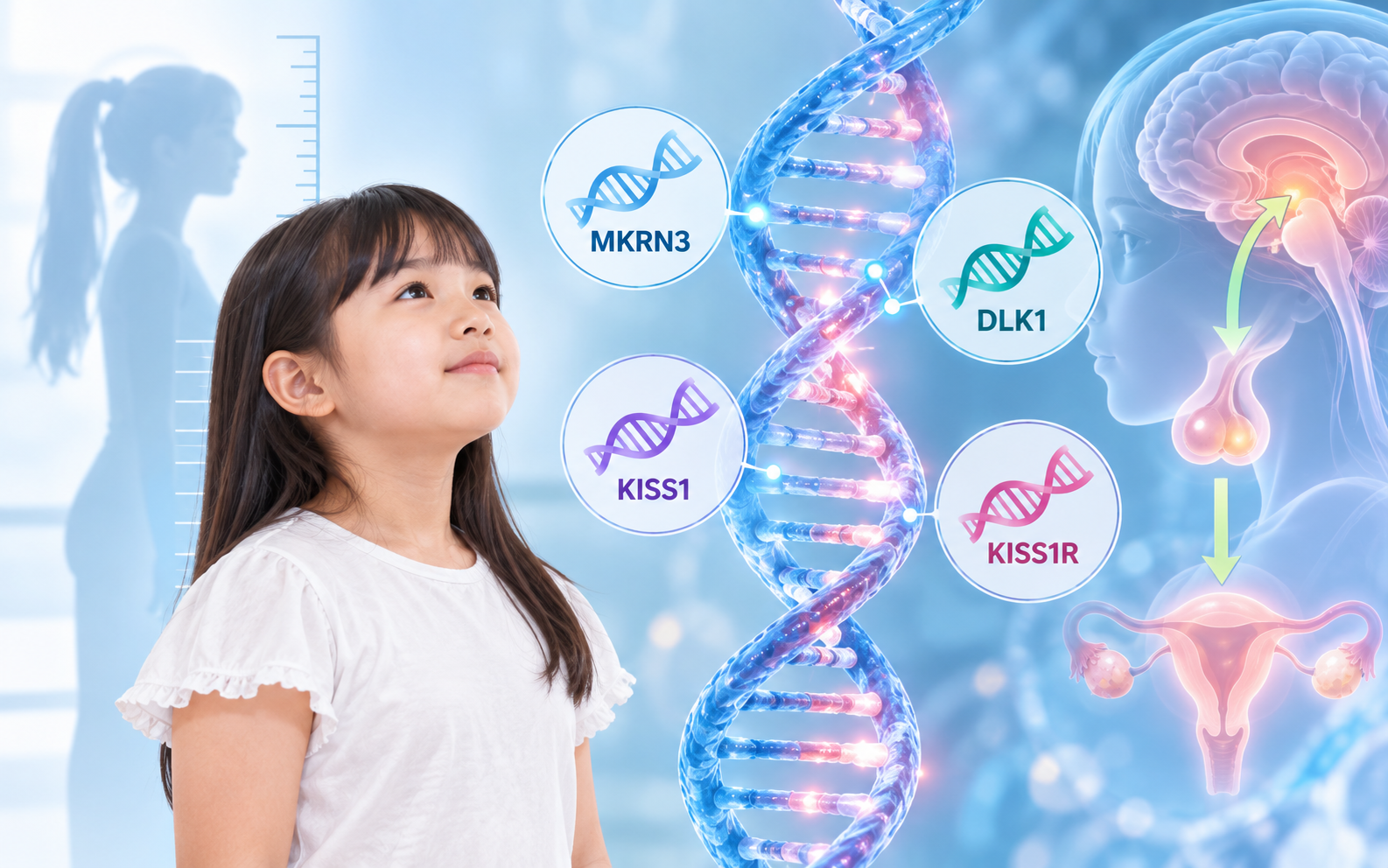Một số gen có thể liên quan đến dậy thì sớm