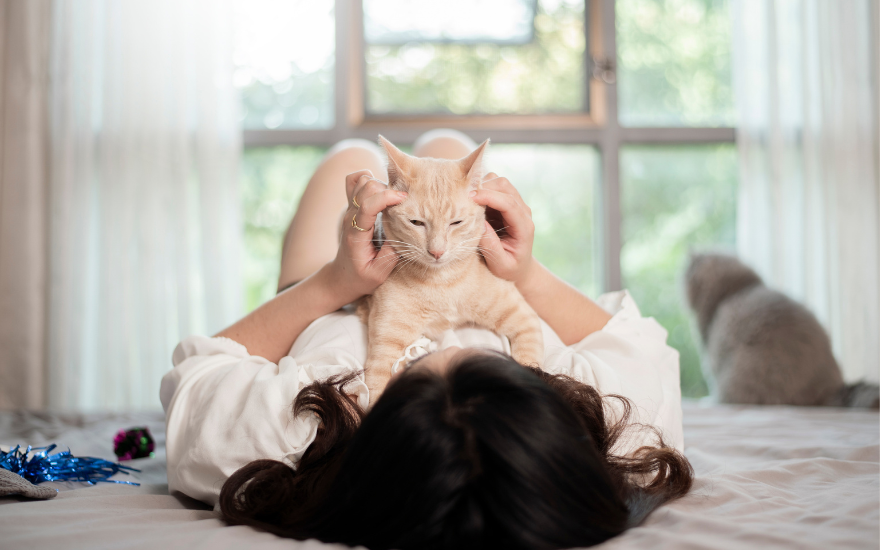 Người nuôi nên rửa tay sau khi vuốt ve thú cưng