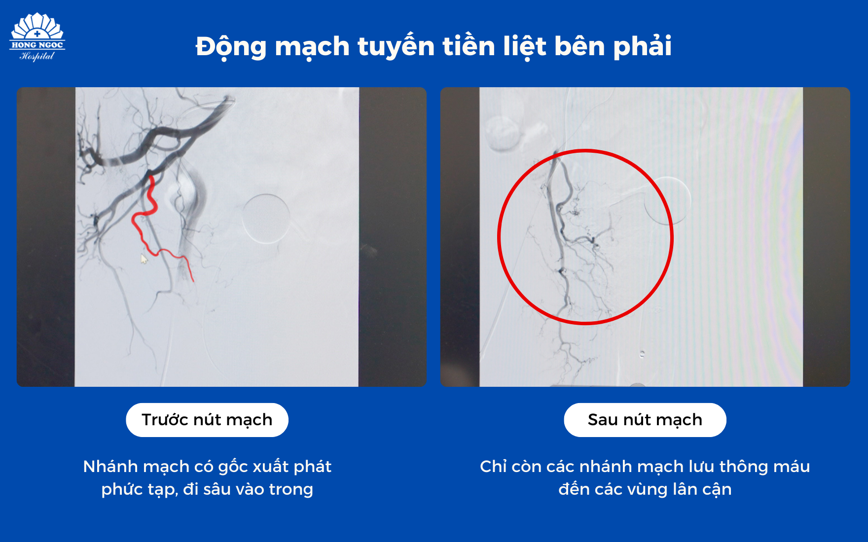 Ảnh Website 880 X 550 (1760 X 1100) (25)
