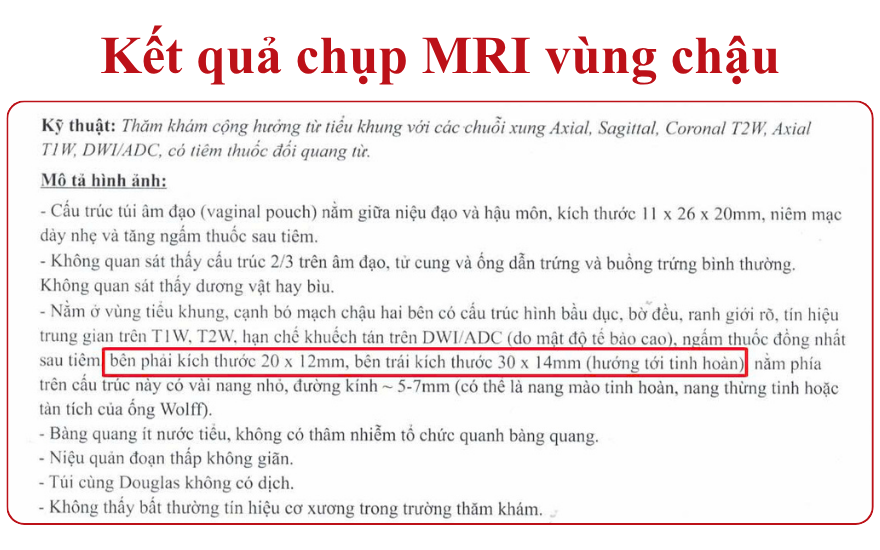 Ảnh 1