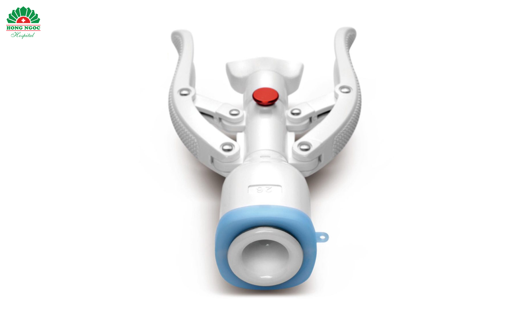 Ảnh Website 880 X 550 (1760 X 1100) (14)