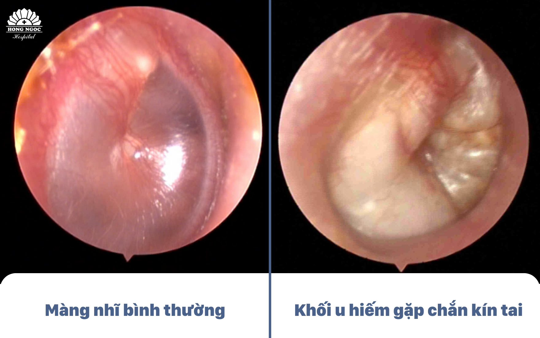 Ảnh Website 880 X 550 (1760 X 1100) (10)