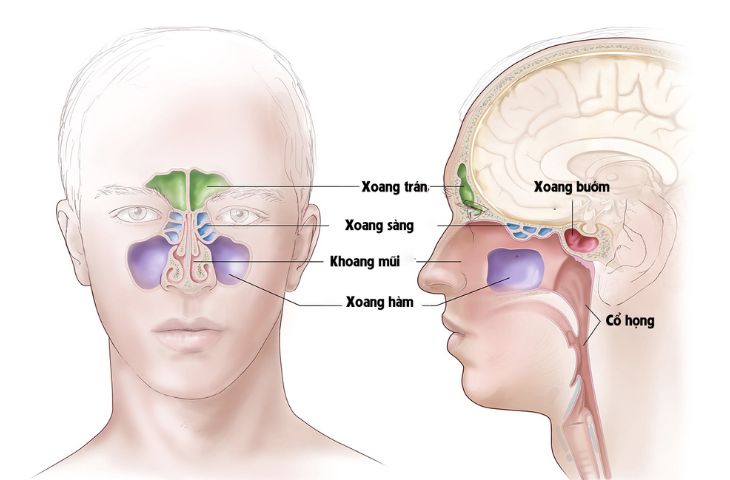 7. Cách Phòng Ngừa Viêm Đa Xoang