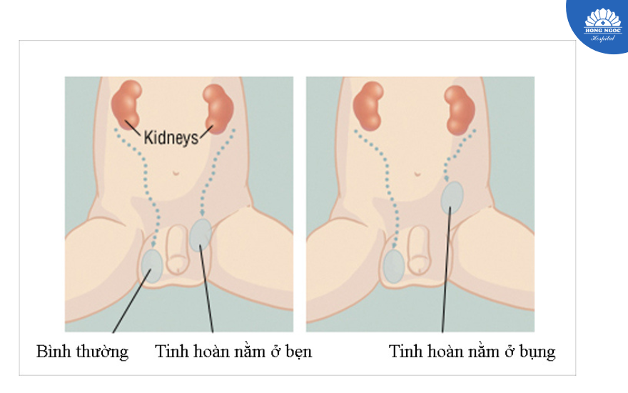 Ảnh Website 880 X 550 (2)