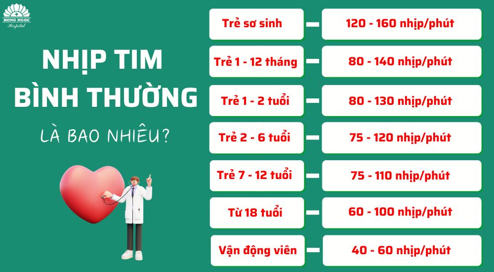 3. Các yếu tố ảnh hưởng đến nhịp tim