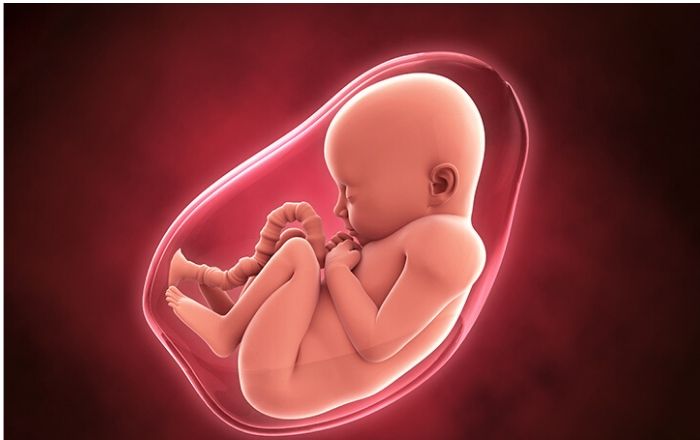 Cách đo lường và xác định nước ối có hồi âm trong quá trình siêu âm thai kỳ?
