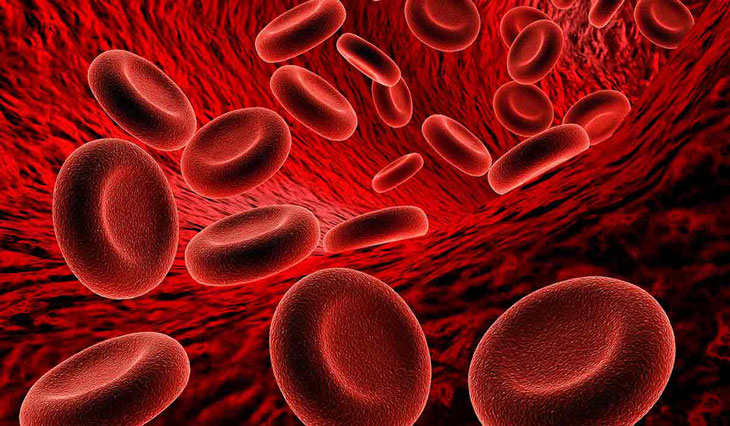 Thiếu máu: Nguyên nhân, dấu hiệu và cách phòng ngừa