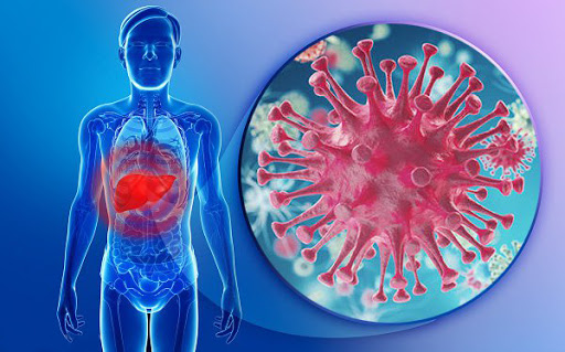 Vi khuẩn, ký sinh trùng xâm nhập vào cơ thể khiến gan bị tổn thương