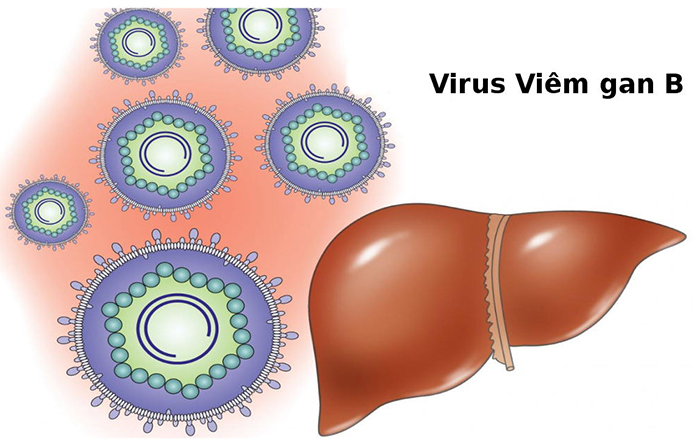 viêm gan virus