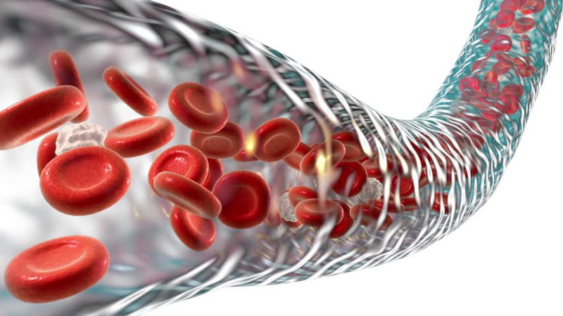 Hồng cầu: Cấu tạo, chức năng và các chỉ số đánh giá tế bào hồng cầu
