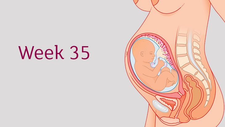 Tại sao việc chuẩn bị tâm lý trước sinh rất quan trọng trong tuần thứ 35 của thai kỳ?