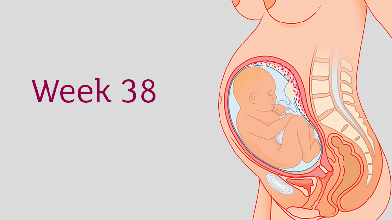 Có những yếu tố nào ảnh hưởng đến quyết định sinh mổ ở tuần thứ 38?
