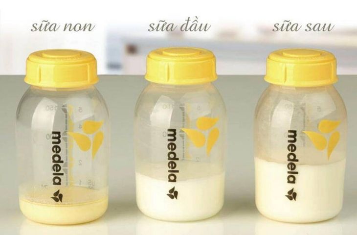 Tìm hiểu về sữa non, sữa đầu và sữa cuối của sữa mẹ