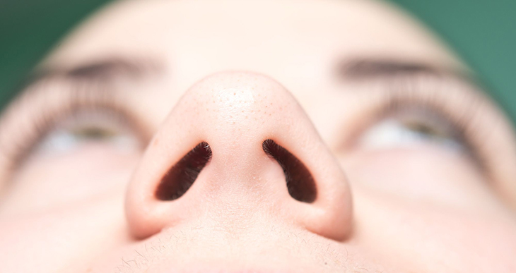 Cấu tạo mũi và chức năng quan trọng của mũi