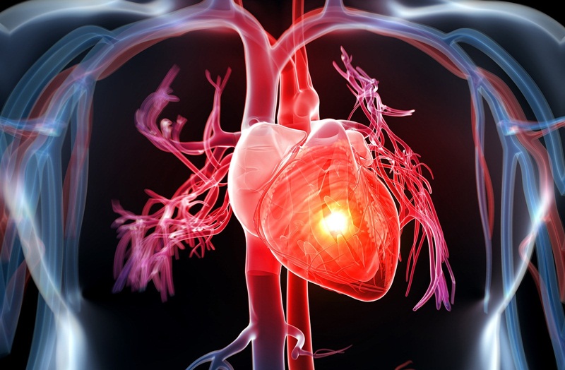 Các yếu tố rủi ro và nguy cơ mắc các bệnh tim mạch ở đầu?

