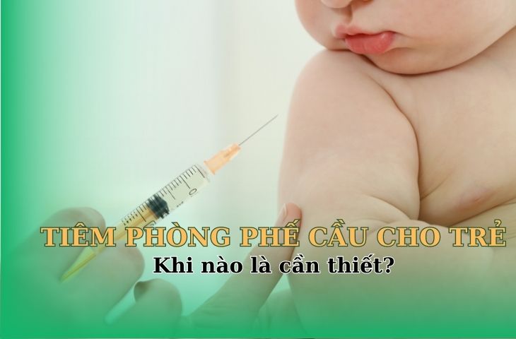 Tại Việt Nam, vắc xin phế cầu đã được sử dụng rộng rãi cho trẻ từ khi nào?
